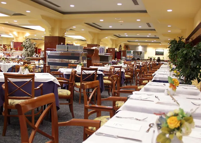 Vik San Antonio פוארטו דל כרמן