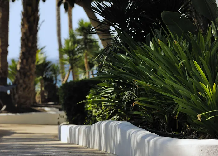 Vik San Antonio מלון 4*